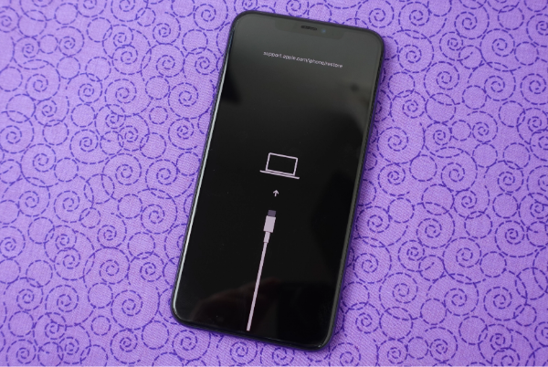 iPhone یا iPad خود را به iOS 13 بازیابی کنید